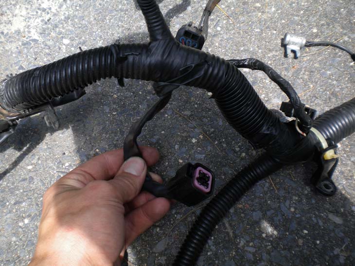 The Official 4g63 Wiring Thread Bring It - Page 2