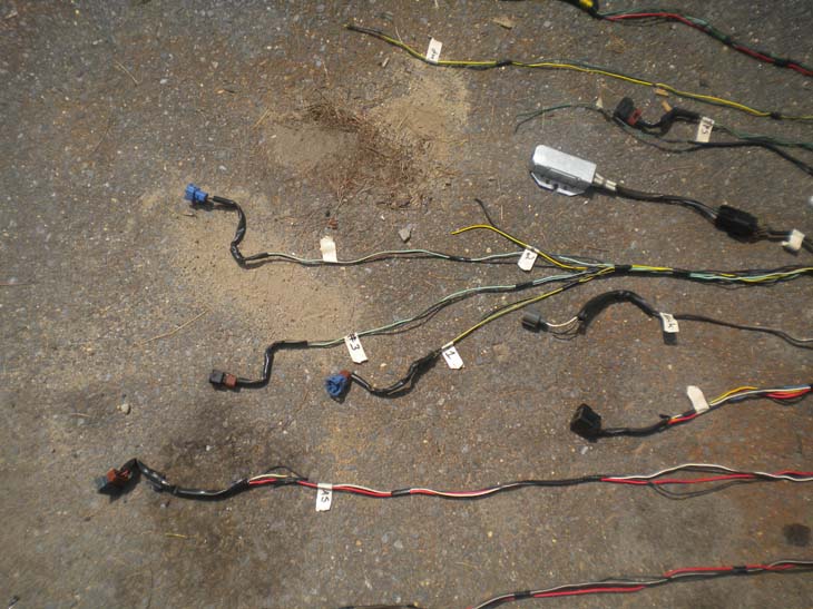 The Official 4G63 Wiring Thread. Bring It! - Page 2 -www